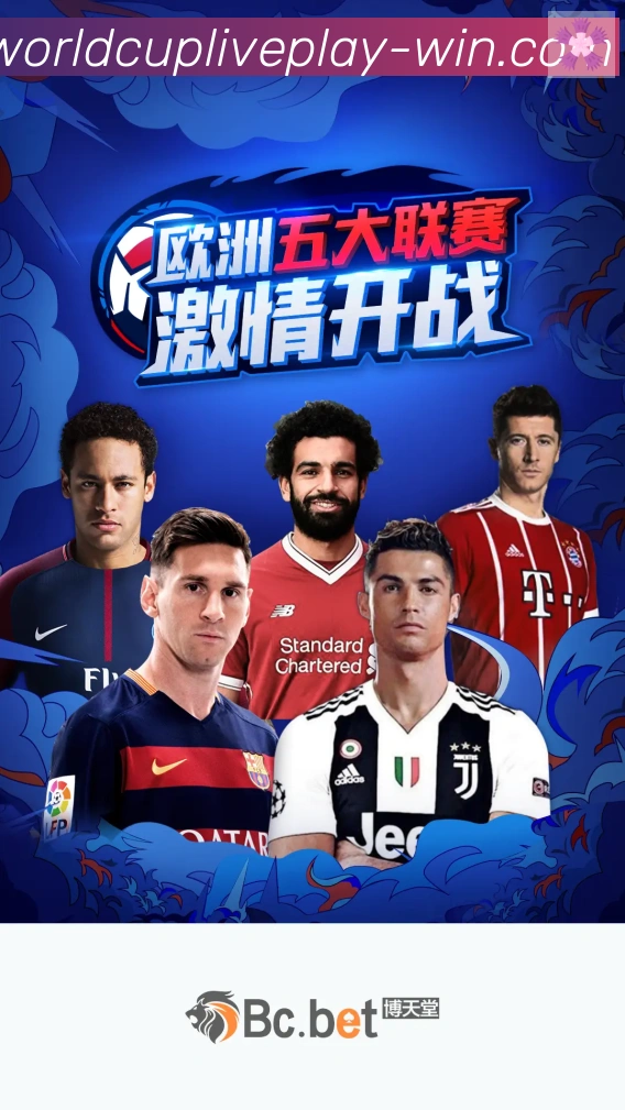 平台使命图